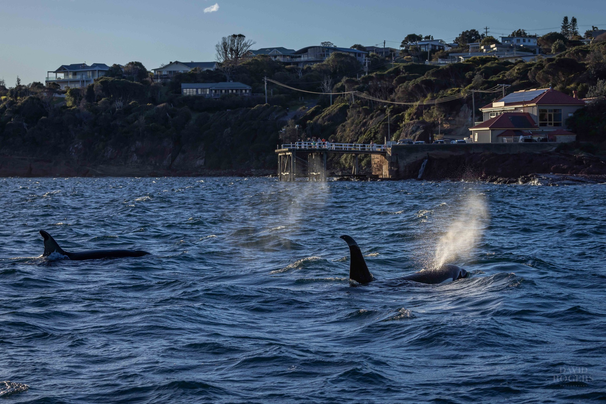 Merimbula named finalist in Top Tourism Town Awards - 2EC